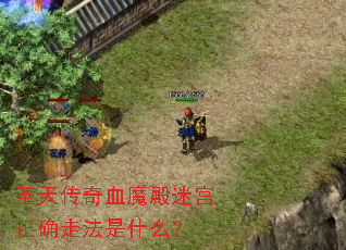 ʥ�촫��Ѫħ���Թ���ȷ�߷���ʲô��