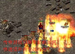 ������Ϸ������º���ο���������ɫս������