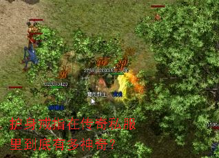 ������ָ�ڴ���˽���ﵽ���ж����棿