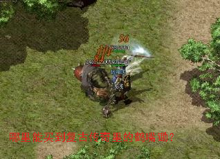 �������򵽸��Ŵ�����ĺ������