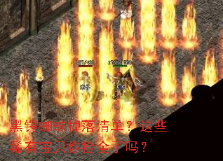 ����֩������嵥����Щϡ�б������ȫ����