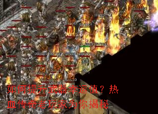 ���������������ֵ����Ѫ���������Ϊ�����