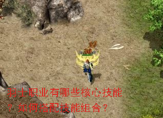 ��ʿְҵ����Щ���ļ��ܣ���δ��似����ϣ�