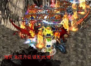 ��ο�����������������