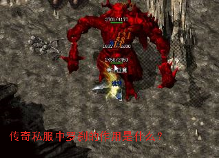 ����˽������ɲ��������ʲô��