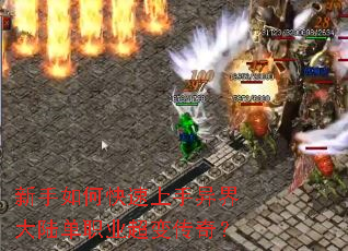 ������ο�����������½��ְҵ���䴫�棿