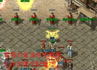 ���������ʺϴ�����Ϸ�е��ĸ�ְҵ��