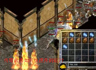 ����������ο���������7��