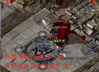 热血传奇176版十大逆天特戒获取方法是什么? 热血传奇176版十大逆天特戒获取方法是什么?