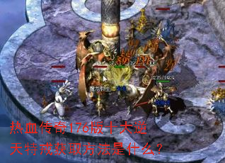 ��Ѫ����176��ʮ�������ؽ��ȡ������ʲô��