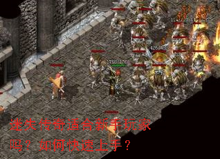 ��ʧ�����ʺ������������ο������֣�