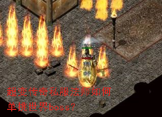超变传奇私服法师如何单挑世界boss? 超变传奇私服法师如何单挑世界boss?