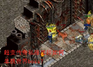 超变传奇私服法师如何单挑世界boss? 超变传奇私服法师如何单挑世界boss?