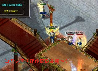 ��ο��ٻ�ȡ���漫Ʒ���ԣ�