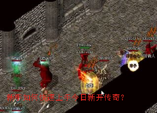 ������ο������ֽ����¿����棿