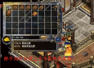 ������ο������ֽ����¿����棿