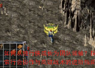 ��δӶ������ɳ�Ϊ�Ŷ����䣿̽���л�Э�����Чս���Ľ���ָ��