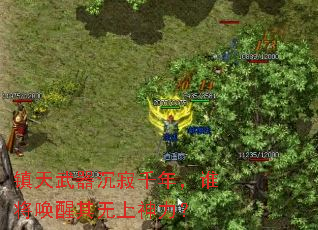 ������������ǧ�꣬˭������������������