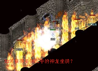 ��λ��ʥ��OL�е��������