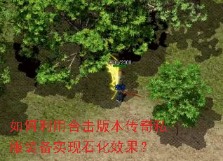 ������úϻ��汾����˽��װ��ʵ��ʯ��Ч����