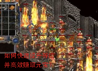 ��ο��������ȼ�����Ч׬ȡԪ����