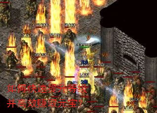 ��ο��������ȼ�����Ч׬ȡԪ����