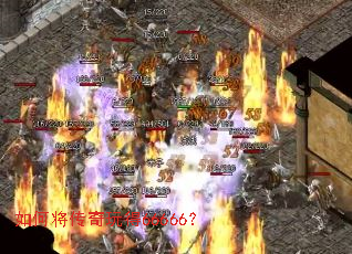 如何将传奇玩得66666? 如何将传奇玩得66666?