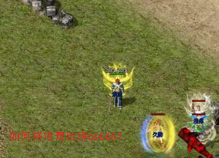 ��ν��������66666��