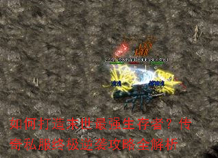 ��δ���ĩ����ǿ�����ߣ�����˽���ռ���Ϯ����ȫ����