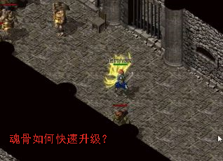 �����ο���������