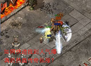 ��ο����ҵ�������������Ѫ����˽����