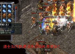 道士如何快速提升召唤神兽等级? 道士如何快速提升召唤神兽等级?