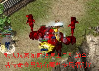 ɢ�������ο������֣�20ȫ�������Ավ����Щר��������