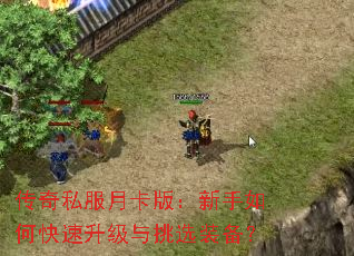 ����˽���¿��棺������ο�����������ѡװ����