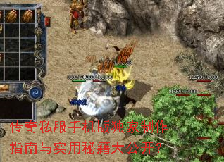 ����˽���ֻ����������ָ����ʵ���ؼ��󹫿���