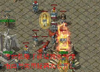 ����˽���ֻ����������ָ����ʵ���ؼ��󹫿���