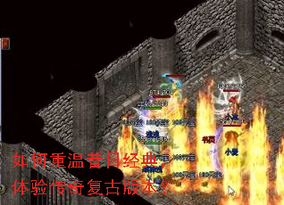 ����������վ��䣬���鴫�渴�Ű汾��