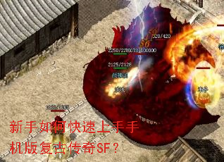 ������ο��������ֻ��渴�Ŵ���SF��