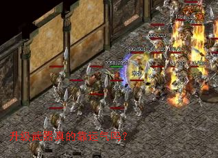 ����������Ŀ�������