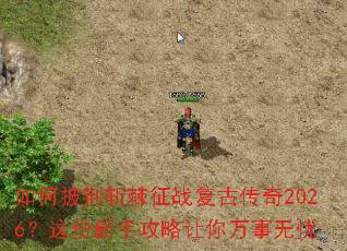 �������ն����ս���Ŵ���2026��������ֹ���������������