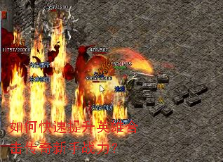 ��ο�������Ӣ�ۺϻ���������ս����