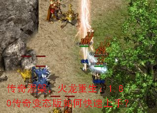 ��������������������1.80�����̬����ο������֣�