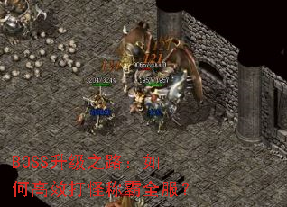 BOSS����֮·����θ�Ч��ֳư�ȫ����