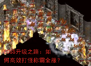 BOSS����֮·����θ�Ч��ֳư�ȫ����