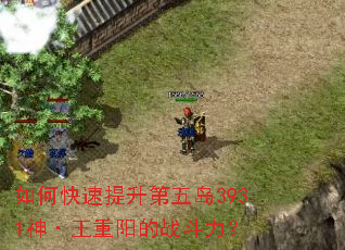如何快速提升第五岛3931神·王重阳的战斗力? 如何快速提升第五岛3931神·王重阳的战斗力?