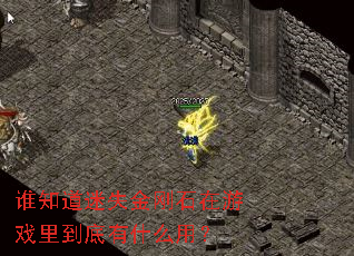 谁知道迷失金刚石在游戏里到底有什么用? 谁知道迷失金刚石在游戏里到底有什么用?