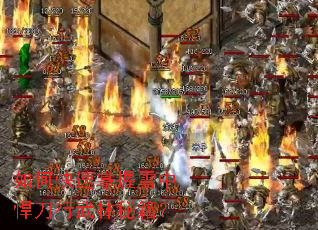 如何快速掌握雪中悍刀行武林秘籍? 如何快速掌握雪中悍刀行武林秘籍?