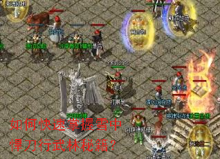 如何快速掌握雪中悍刀行武林秘籍? 如何快速掌握雪中悍刀行武林秘籍?