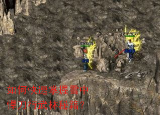 如何快速掌握雪中悍刀行武林秘籍? 如何快速掌握雪中悍刀行武林秘籍?