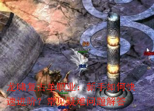 龙啸复古单职业:新手如何快速进阶?常见疑难问题解答 龙啸复古单职业:新手如何快速进阶?常见疑难问题解答